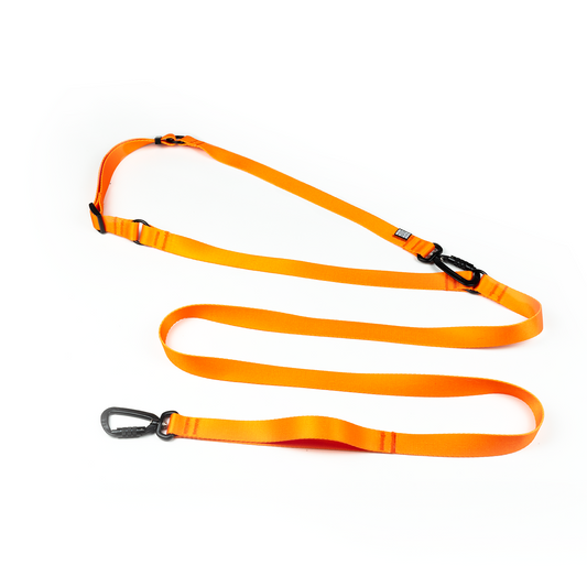 HANDS-FREE LEASH