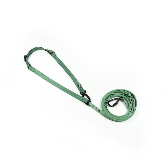 HANDS-FREE BIOTHANE LEASH