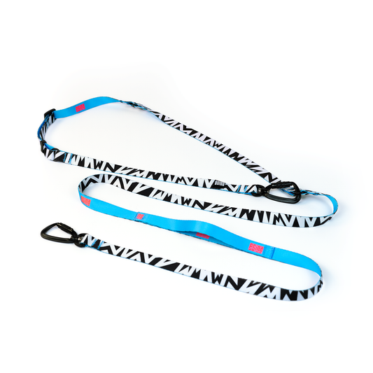 HANDS-FREE LEASH