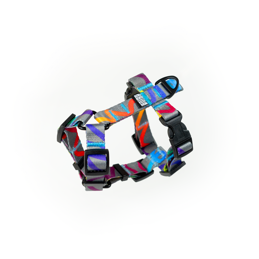 HARNESS