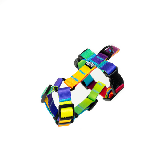 HARNESS