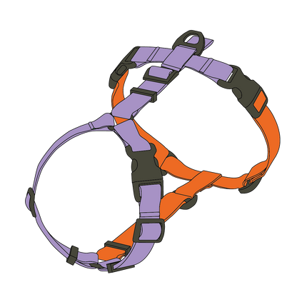 DOUBLE-COLORED HARNESS