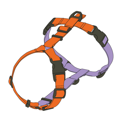DOUBLE-COLORED HARNESS