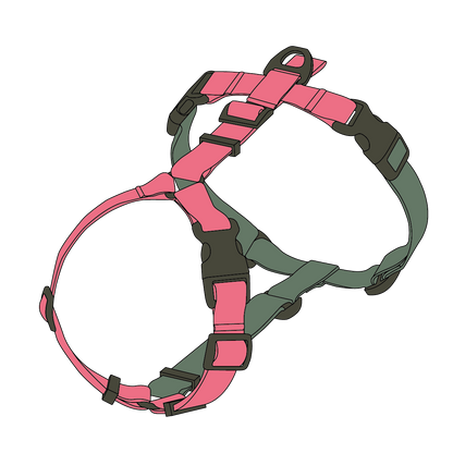 DOUBLE-COLORED HARNESS