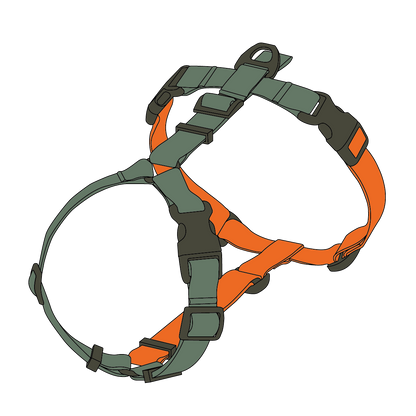 DOUBLE-COLORED HARNESS