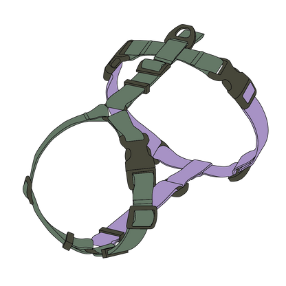 DOUBLE-COLORED HARNESS